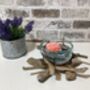 Medium Molten Glass Bowl On Driftwood Base, thumbnail 8 of 8