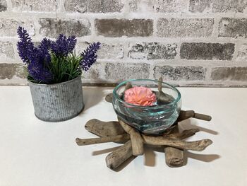 Medium Molten Glass Bowl On Driftwood Base, 8 of 8