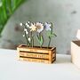 Family Of Birth Flowers In Mini Wooden Planter, thumbnail 1 of 3