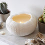 Large Porcelain Sea Urchin Candle, thumbnail 1 of 3