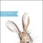 Curious Hare Illustration Print, thumbnail 5 of 5