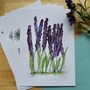 Lavender Watercolour A4 Art Print, thumbnail 1 of 6