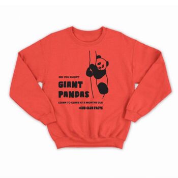 Children's Panda Fact Sweatshirt Or Tee, 3 of 3
