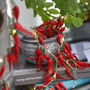 String Of Battery Operated Chilli Pepper Lights, thumbnail 1 of 3