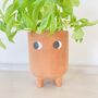 Terracotta Planter, thumbnail 3 of 4