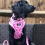 Dog Harness | Pink Princess, thumbnail 3 of 12