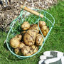 Personalised Grow Your Own Potatoes Gardening Basket, thumbnail 3 of 8