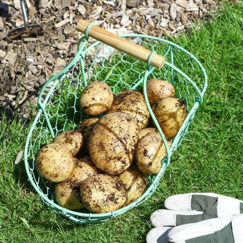 Personalised Grow Your Own Potatoes Gardening Basket, 3 of 8