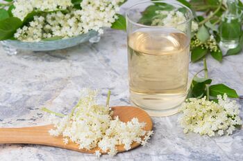 Fruit Plants Elderflower, 12 of 12