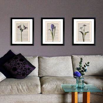 Hellebore, Vintage Collection Print, 4 of 4