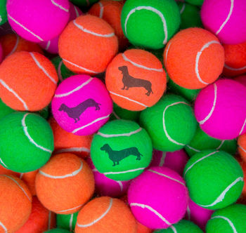 Dachshund Dog Tennis Balls, 4 of 7