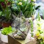 Four Surfaces Diamond Glass Geometric Plants Terrarium, thumbnail 3 of 7