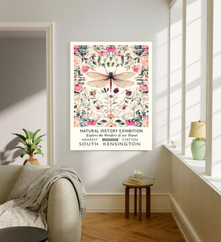 Natural History Pink Dragonfly Art Print, 2 of 4