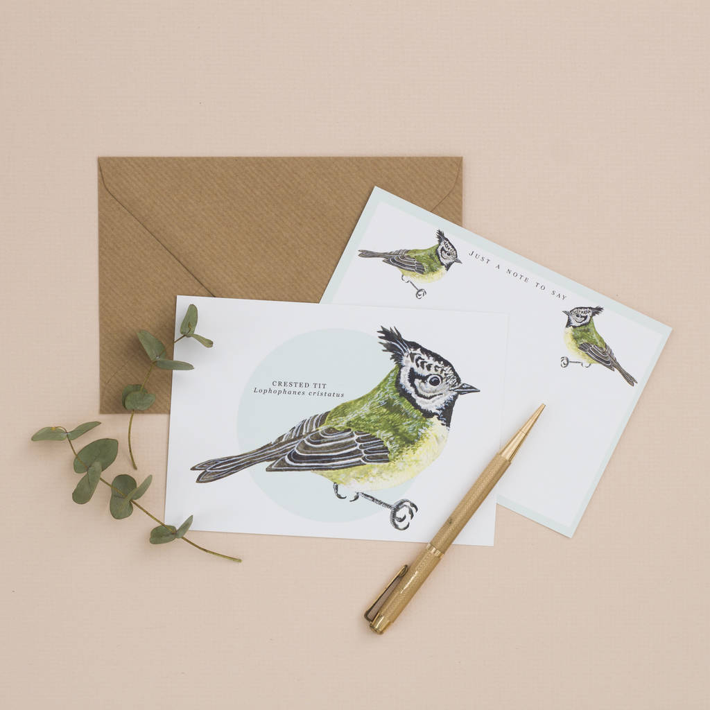 British Birds Illustrated Notelet Set By Little Paisley Designs ...