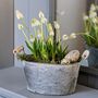 Oval Zinc Planter With Wooden Handles Set Of Two, thumbnail 1 of 5