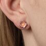 Molang And Piu Piu Stud Earring Set, thumbnail 2 of 6