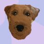 Bespoke Animal/ Pet Portrait Iced Biscuit, thumbnail 10 of 12