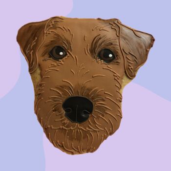 Bespoke Animal/ Pet Portrait Iced Biscuit, 10 of 12