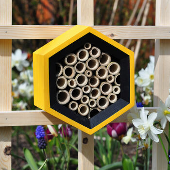 Bee House, 5 of 5