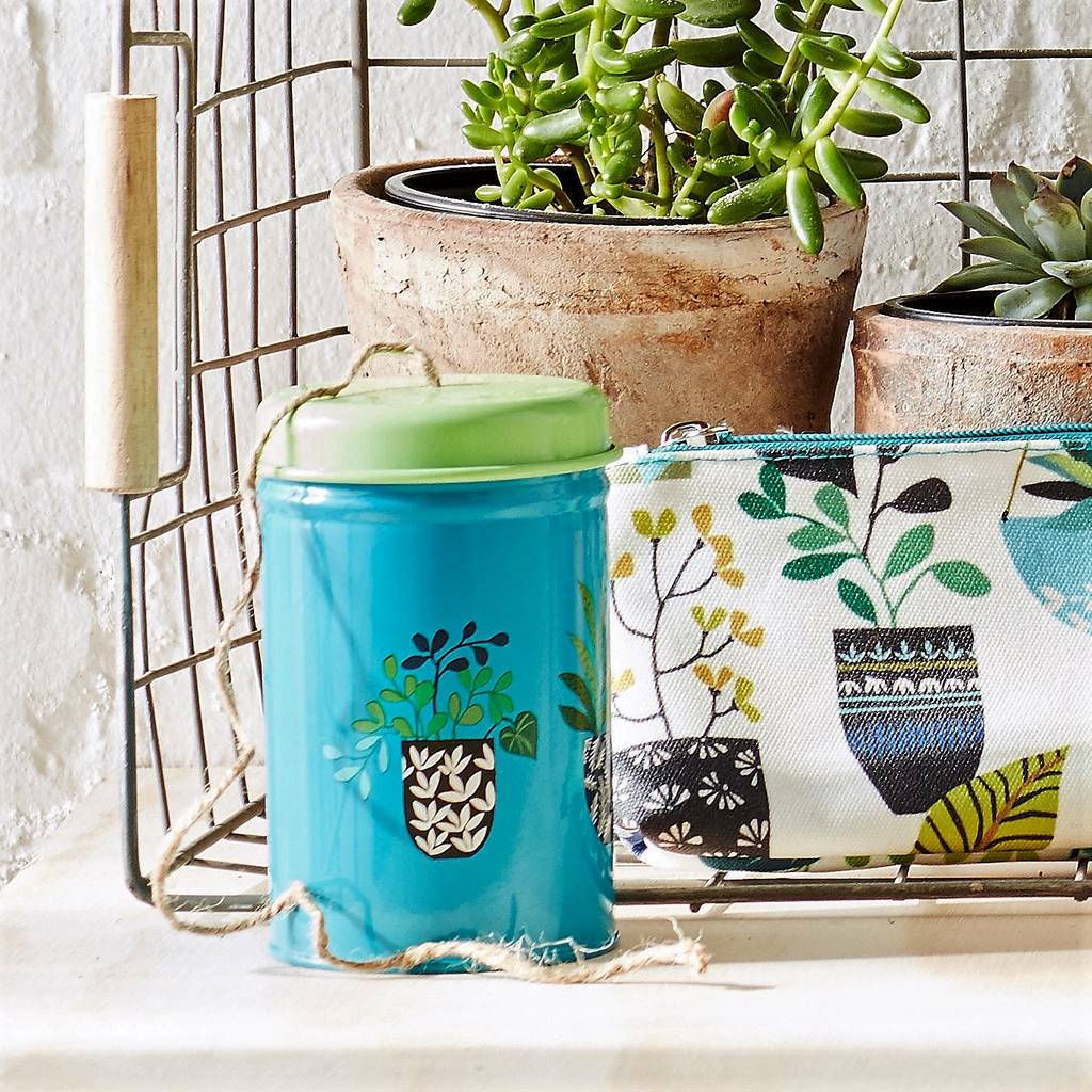 turquoise garden twine in a tin by the contemporary home