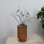 Wire Snowdrops In Handmade Terracotta Pot, thumbnail 1 of 8