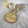 Brass Oval Dog Name Tag, thumbnail 1 of 2