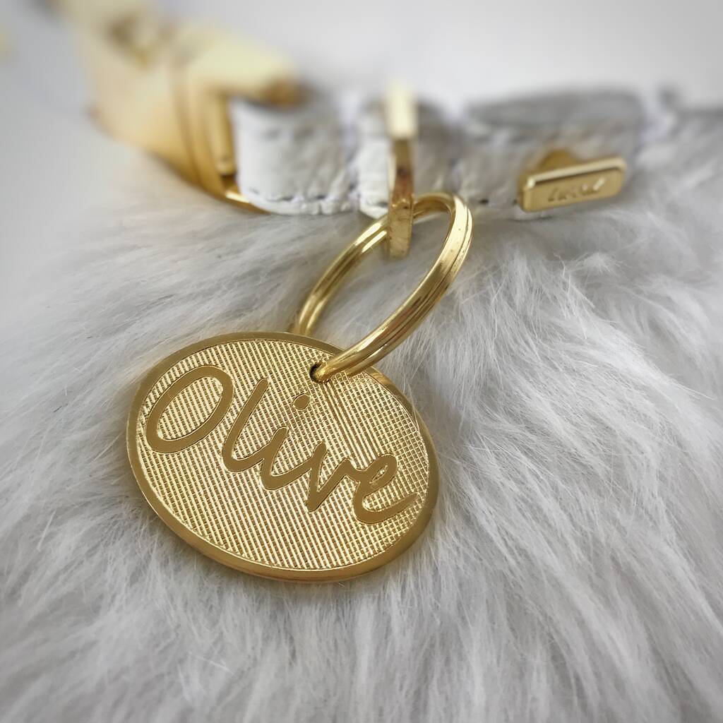 Brass Oval Dog Name Tag, 1 of 2