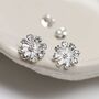Sterling Silver Cosmos Flower Studs, thumbnail 3 of 9