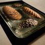 Personalised Pine Cones | Little Things In Tins Nature Print, thumbnail 3 of 3