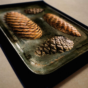 Personalised Pine Cones | Little Things In Tins Nature Print, 3 of 3