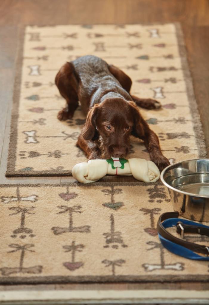 hug rug pet range by hug home