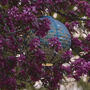 Deep Blue Solar Outdoor Globe Lantern, thumbnail 8 of 12