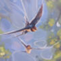 Farewell Swallows, thumbnail 6 of 10