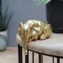Peering Over Elephant And Giraffe In Silver And Gold, thumbnail 6 of 10