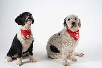 Valentines 'Be Mine' Bandana For Girl Or Boy Dogs, 5 of 5