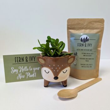 Plant Your Own Succulent Kit With Deer Pot, 4 of 5