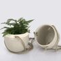 Pack Of Two Ceramic Hanging Pots With Jute Rope, thumbnail 11 of 12