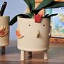 Personalised Planter Pot Chicken, thumbnail 2 of 6