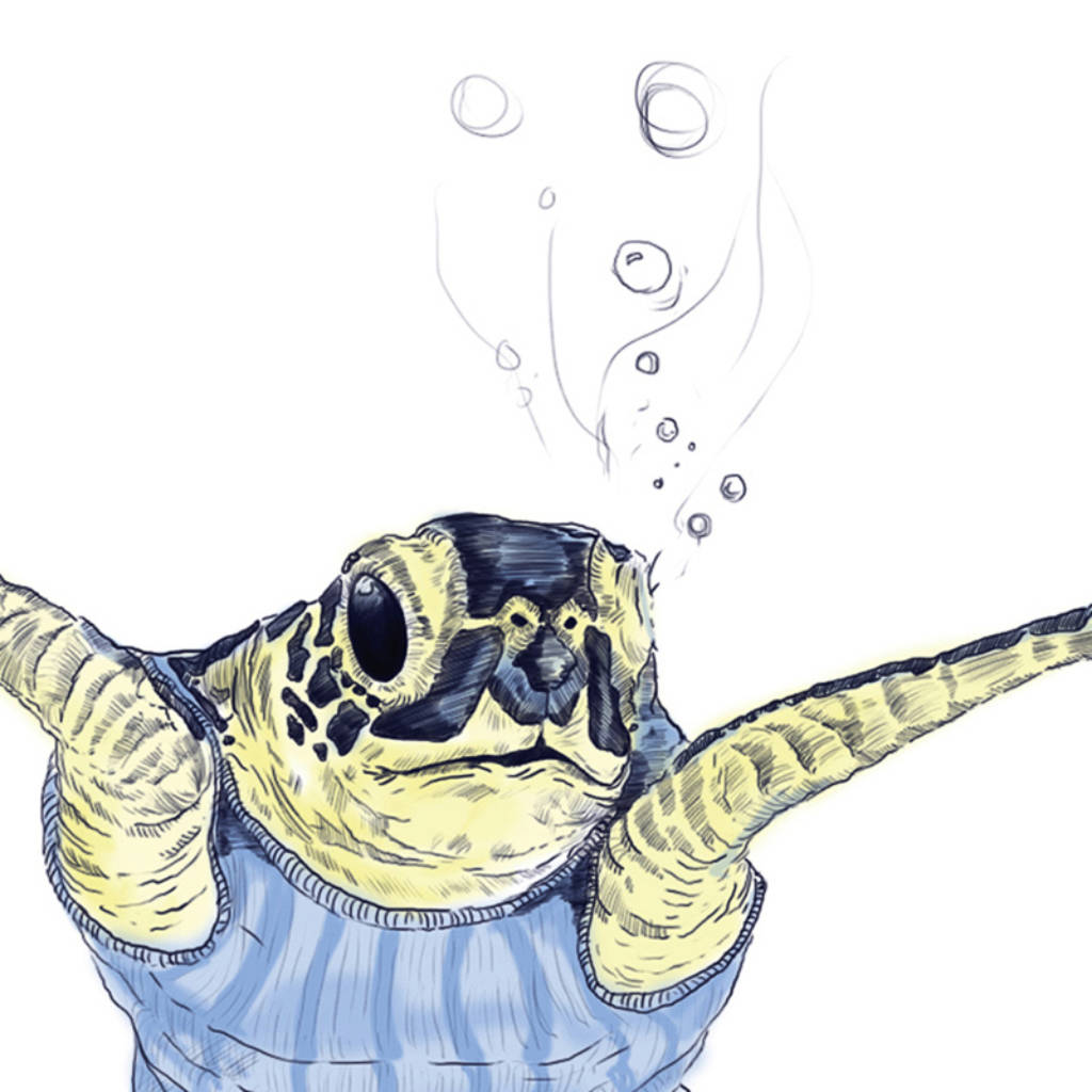 Squirt Cute Turtle Illustration Print By Ben Rothery Illustrator