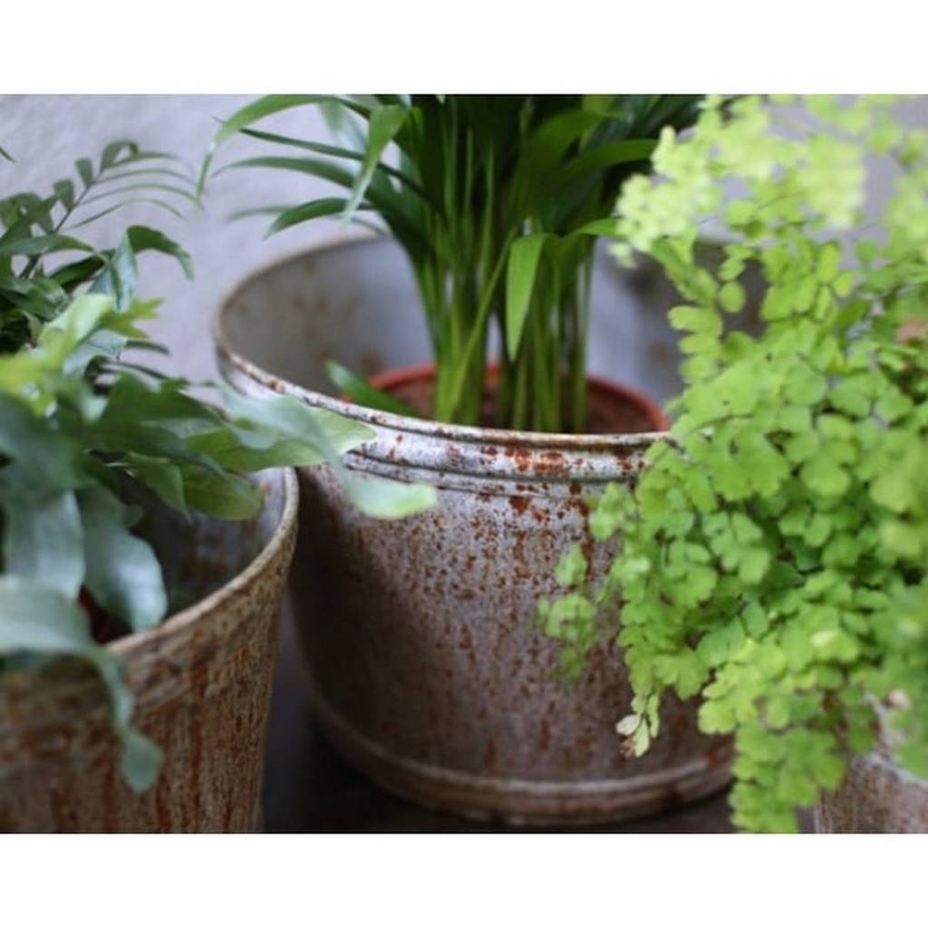 Large Aged Zinc Planter Plant Pot By Stupid Egg Interiors Large Aged Zinc Planter Plant Pot