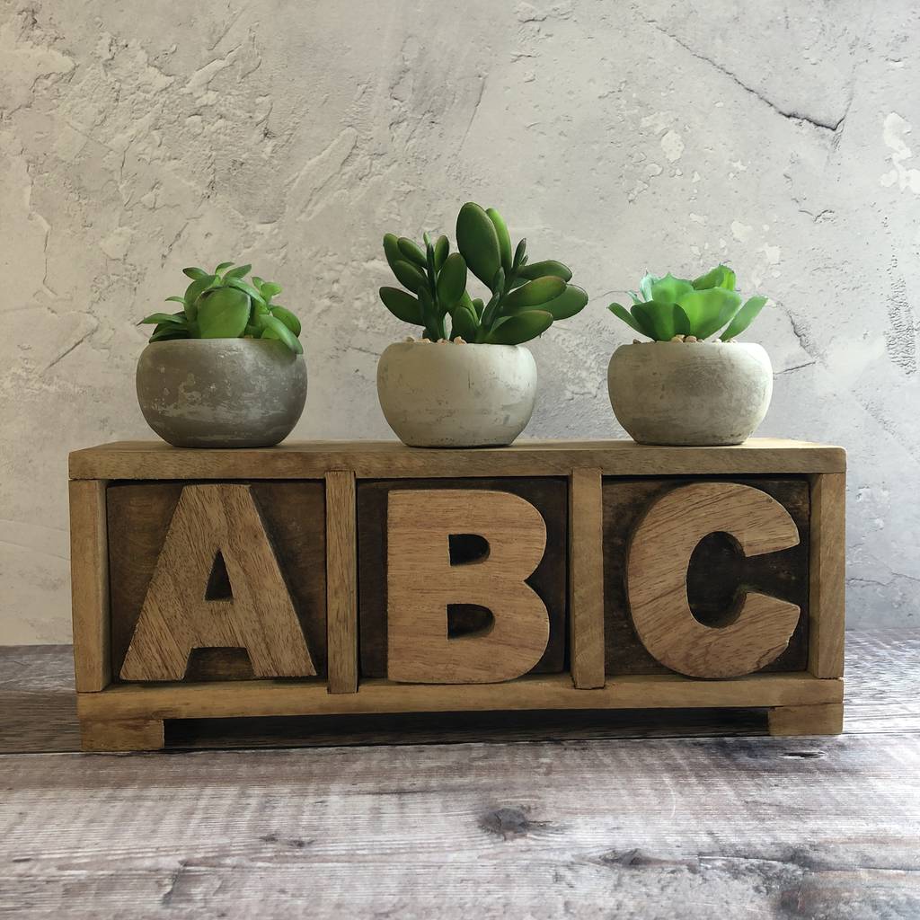 Image of Artificial Succulent Pot Plant