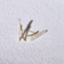 Credo Freshwater Pearl And Gold Lightning Stud Earrings, thumbnail 3 of 4