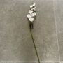 Artificial White Glitter Fabric Orchid Stem, thumbnail 8 of 8