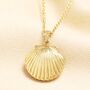 Stainless Steel Shell Necklace In Gold, thumbnail 1 of 2