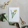 Daffodil Floral Watercolour Greetings Card, thumbnail 1 of 2