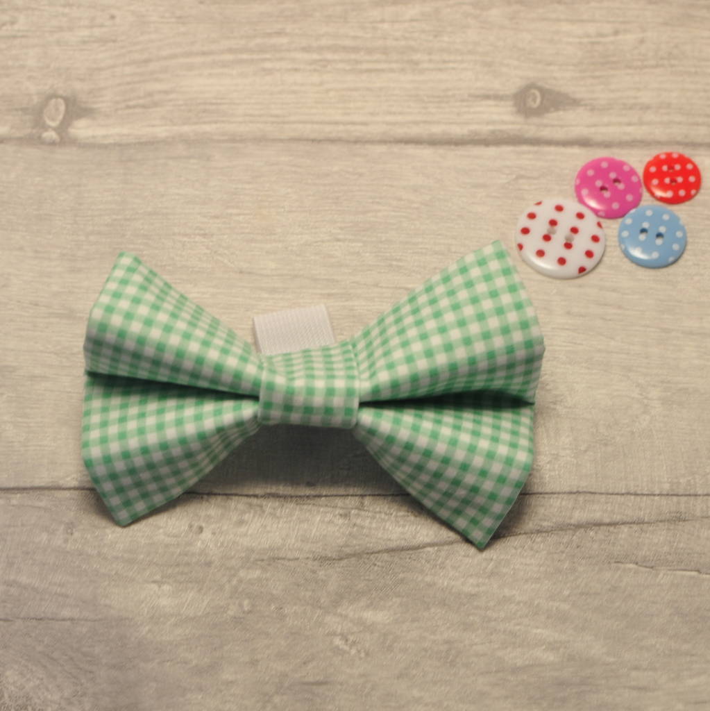 green slide on collar bow/bowtie for girl or boy dogs by charlie and