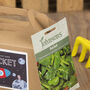 Rocket Ship Seed Kit, Grow Your Own Rocket, Party Bag, thumbnail 3 of 8