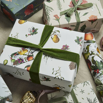 Christmas Wrapping Paper, The Botanist Archive: No. Two, 5 of 5