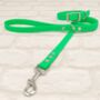 Waterproof Dog Collar And Lead Set Neon Green, thumbnail 1 of 3