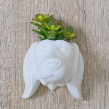 Dog Head Wall Hanging Planter Plant Pot Dog Lover Gift, 3 of 5